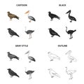 A hawk, a bird of prey, a pelican, a gray crow, an emu ostrich. Bird set collection icons in cartoon black monochrome Royalty Free Stock Photo