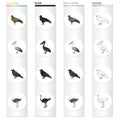 A hawk, a bird of prey, a pelican, a gray crow, an emu ostrich. Bird set collection icons in cartoon black monochrome Royalty Free Stock Photo