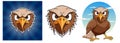 Hawk Cartoon Character with Expressive Face Royalty Free Stock Photo