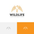 Hawk Eagle Falcon Wings Wildlife Bird Monoline Logo Template