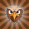A hawk face on retro comic background Royalty Free Stock Photo