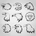 Hawk, falcon or eagle head mascot set vector illustration on white background