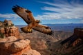 Hawk flies over Grand Canyon National Park, Arizona, USA.