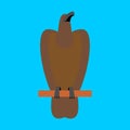 Hawk . Golden eagle on blue background. Big strong bird