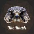 Hawk Head Polygon Vector Royalty Free Stock Photo