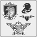 Hawk heraldry coat of arms. Labels, emblems and design elements for sport club. Print design for t-shirts. Royalty Free Stock Photo