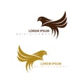 HAWK LOGO design with gold and brown colors