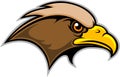 Hawk Mascot