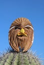 Hawk mask