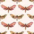 Hawk moth Deilephila elpenor and Sphinx ligustri. Seamless watercolor pattern.