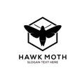Hawk moth logo Royalty Free Stock Photo