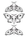 Hawk moths hand drawn line art gothic tattoo design set isolated vector illustration