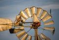 A hawk perches on an old windmill on a sunlit evening.