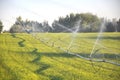 Hawk Resting on Irrigation Wheel Line Royalty Free Stock Photo