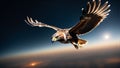 Hawk in the sky. Highly detailed and realistic closeup