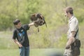 Hawk and trainer Royalty Free Stock Photo