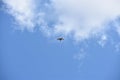 A Hawk Soaring In The Blue Sky Over Oregon Trail In Idaho