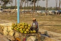 A hawker selling raw green coconut water at Digha sea beach, west Bengal