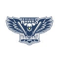 Hawks Baseball Camps logo
