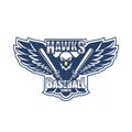 Hawks Baseball Camps logo vector