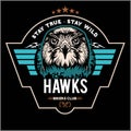 Hawks head logo Template, Hawk mascot graphic Royalty Free Stock Photo