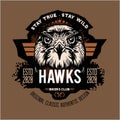 Hawks head logo Template, Hawk mascot graphic Royalty Free Stock Photo