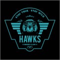 Hawks head logo Template, Hawk mascot graphic Royalty Free Stock Photo