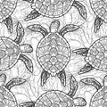 Hawksbill sea turtle pattern