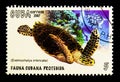 Hawksbill Turtle Eretmochelys imbricata, Cuban fauna protected serie, circa 2007