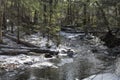 Hawley bog nature preserve Massachusetts