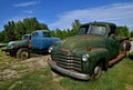 Old Chevy pickups Royalty Free Stock Photo