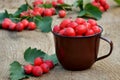 Hawthorn berries in a mug on a wooden table close-up Royalty Free Stock Photo