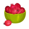 Hawthorn Berries Poured in Ceramic Bowl Vector Illustration
