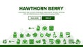 Hawthorn Berry Food Landing Header Vector