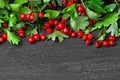 Hawthorn berry