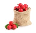 Hawthorn berry with leaf in burlap bag isolated on white background close-up Royalty Free Stock Photo