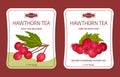 Hawthorn Berry Tea Sticker Design with Ripe Fruit Vector Template