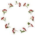 Hawthorn Berry Wreath Royalty Free Stock Photo