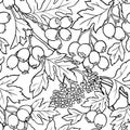 Hawthorn seamless pattern