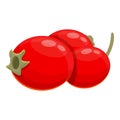 Hawthorn fruits icon, cartoon style