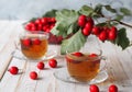 The hawthorn harvesting season for future use. Alternative medicine. Benefits of herbal tea with hawthorn. Cup of herbal tea on a