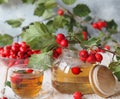 The hawthorn harvesting season for future use. Alternative medicine. The benefits of herbal tea with hawthorn.Teapot and a cup of