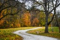 Walking Path, Fall Forest, Yellow Leaves