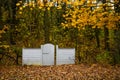 White Wooden Gate, Fall Forest, Yellow Leaves