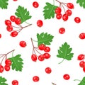 Hawthorn seamless pattern. Vector illustration of red berries and green leaves in cartoon flat style.