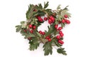 Hawthorn wreath
