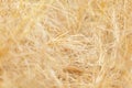 Hay background Royalty Free Stock Photo