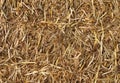 Hay Background Royalty Free Stock Photo