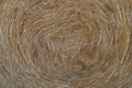 Hay Background, Straw Pattern, Thatch Texture Royalty Free Stock Photo