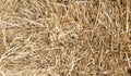 Hay Texture Background, Straw Pattern, Dry Golden Grass Mockup, Dry Baled Hay Bales Stacks Banner Royalty Free Stock Photo